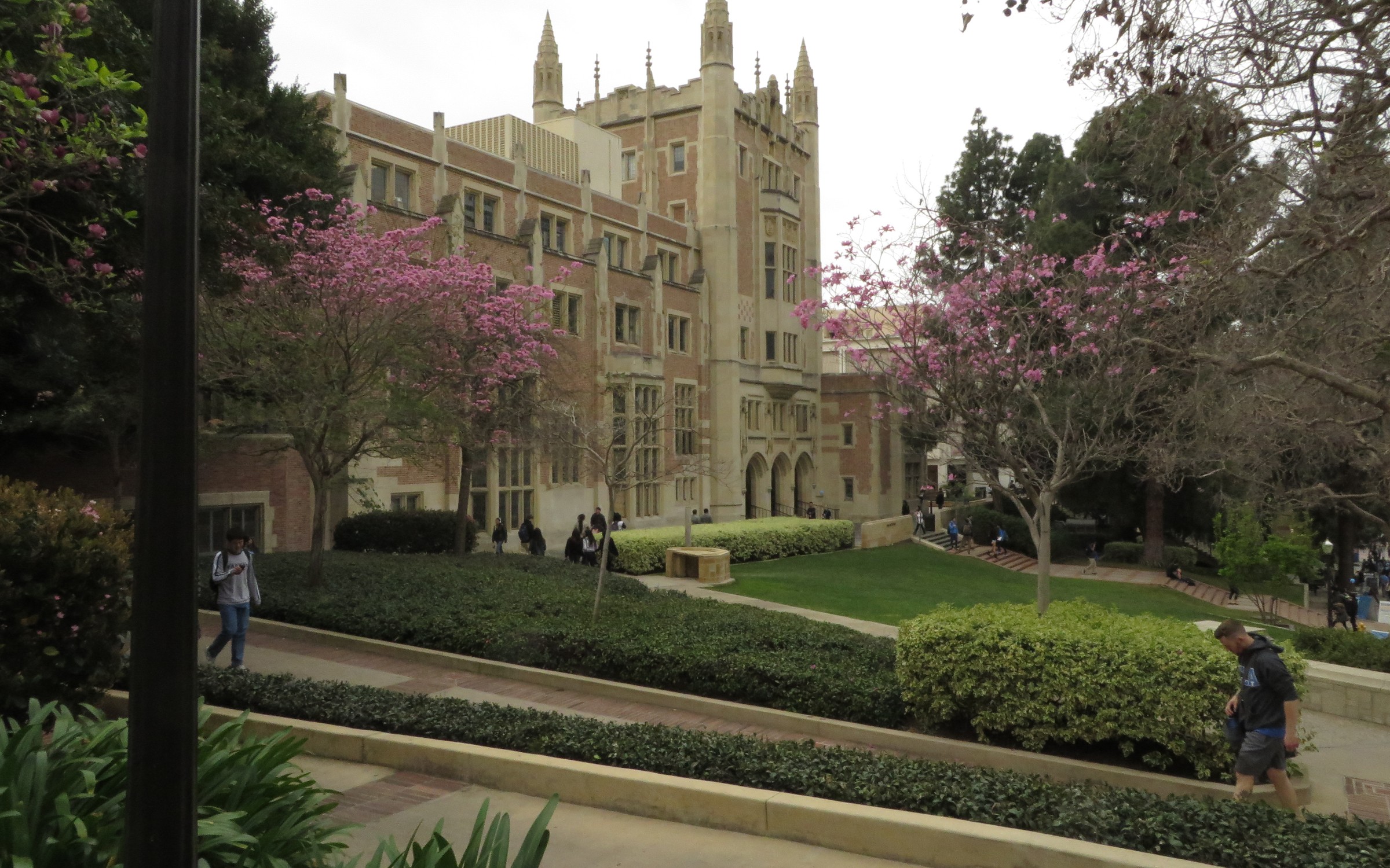 University of California – Los Angeles (UCLA) Campus