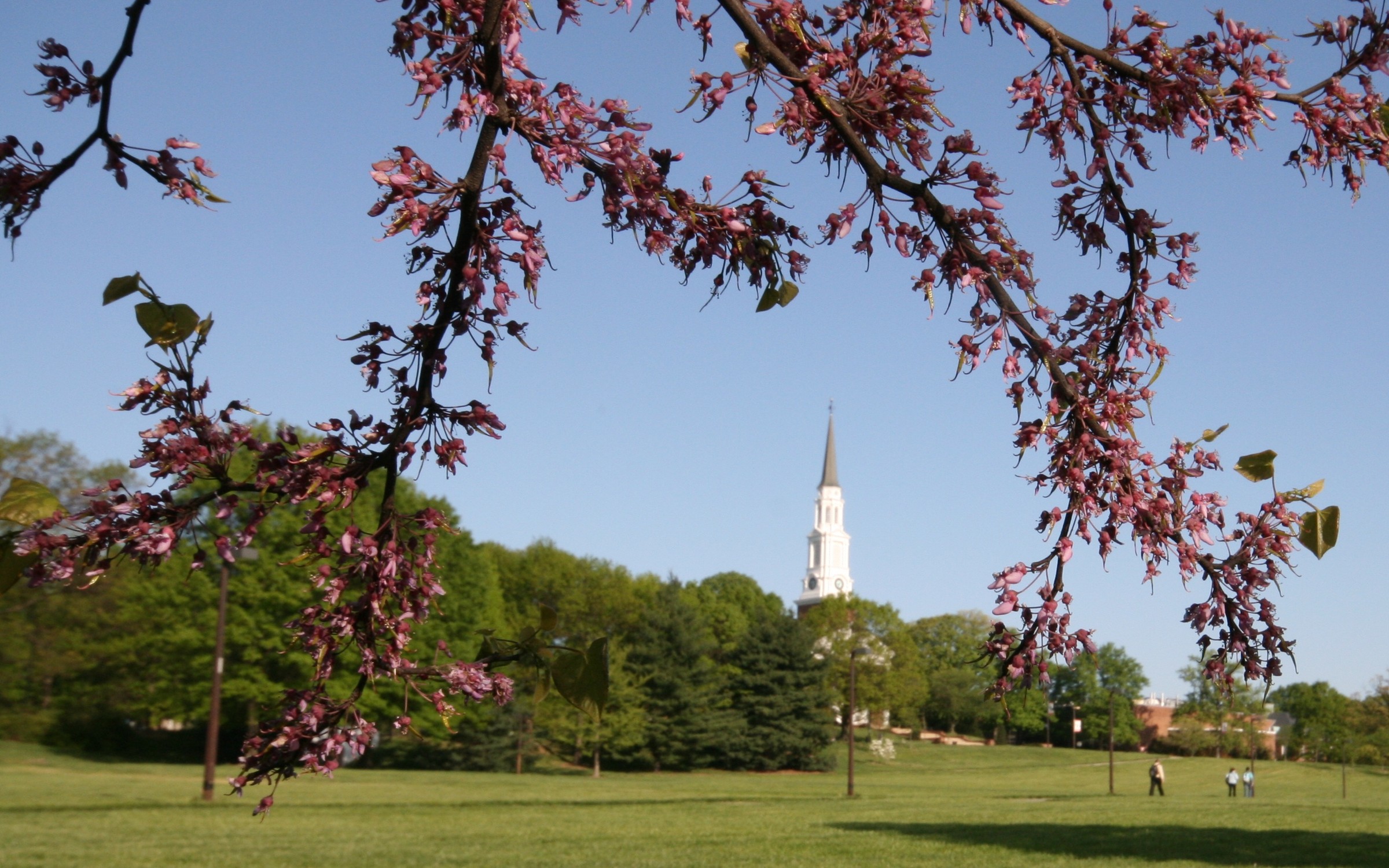 University of Maryland Career Center Campus